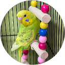 Sachiko Ogihara Sachiko Ogihara